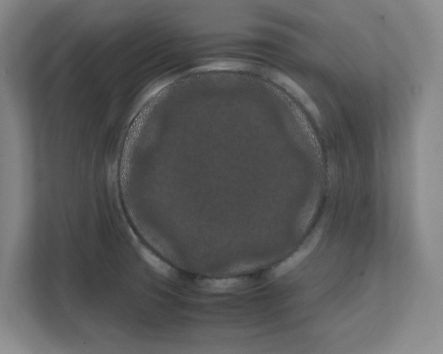 X0000111861425200908201248
