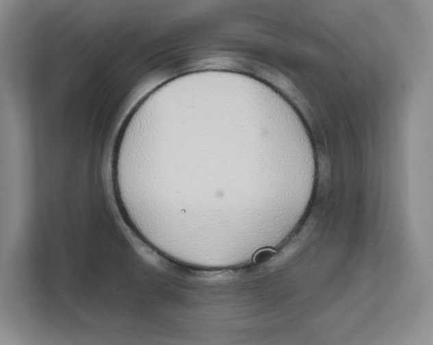 X0000111861426200908201248