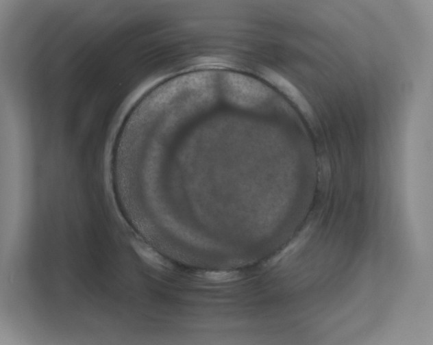 X0000111861427200908201248