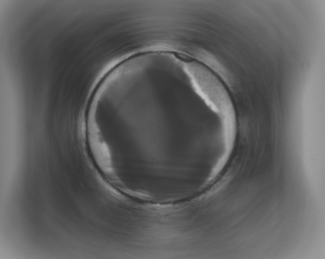 X0000111861428200908201248