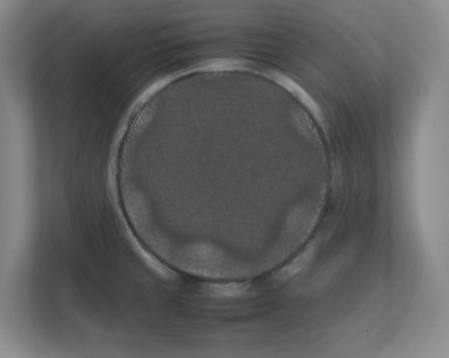 X0000111861429200908201248
