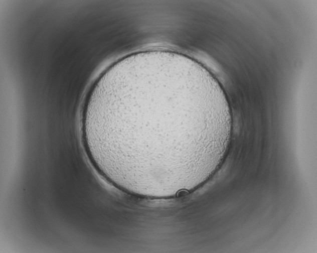 X0000111861430200908201248