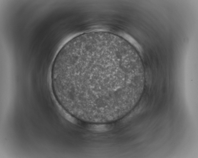 X0000111861431200908201248