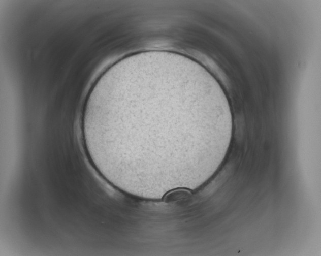 X0000111861432200908201248