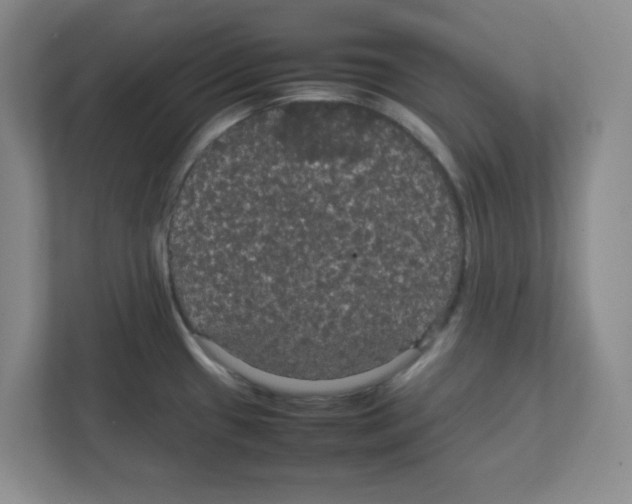 X0000111861433200908201248