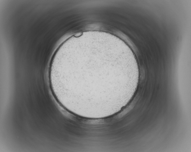 X0000111861434200908201248