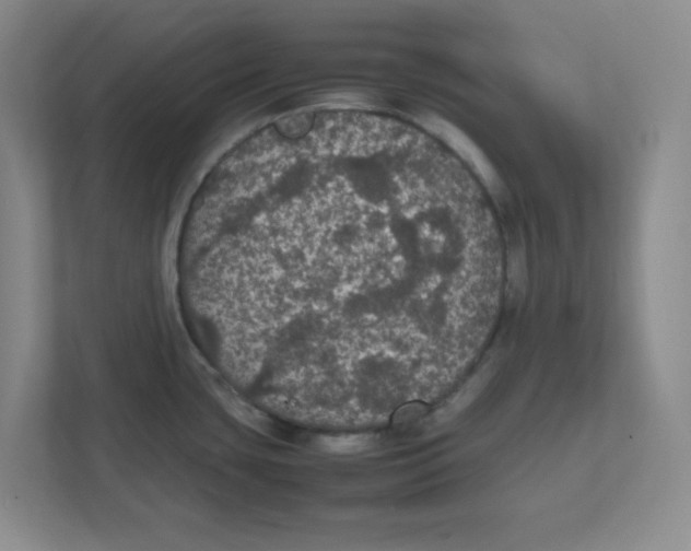 X0000111861435200908201248
