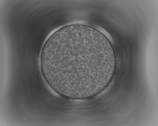 X0000111861436200908201248