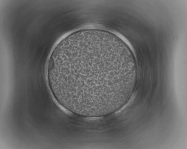 X0000111861437200908201248