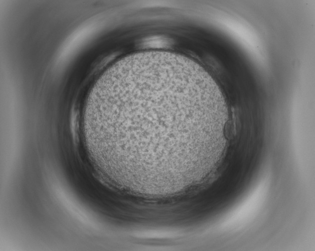 X0000111861438200908201248