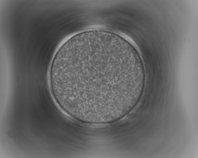 X0000111861440200908201248
