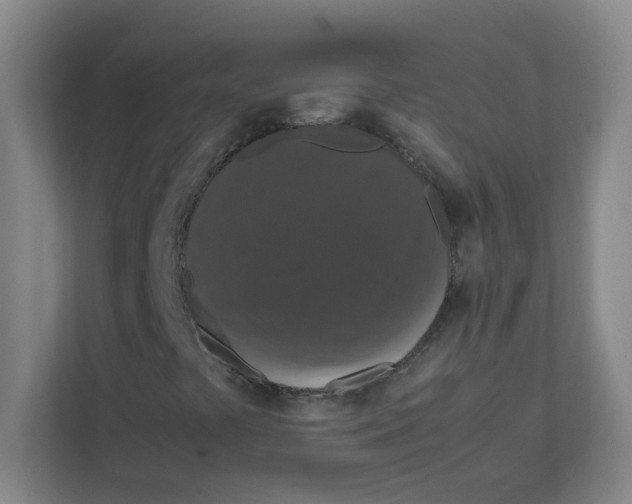 X0000111861441200908201248