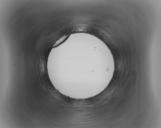 X0000111861442200908201248