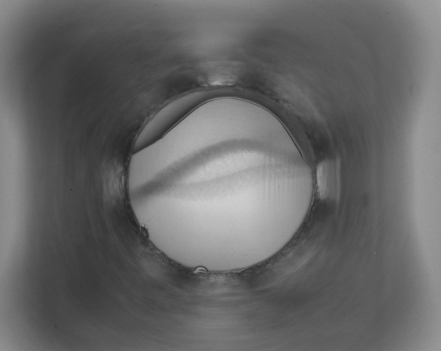 X0000111861443200908201248