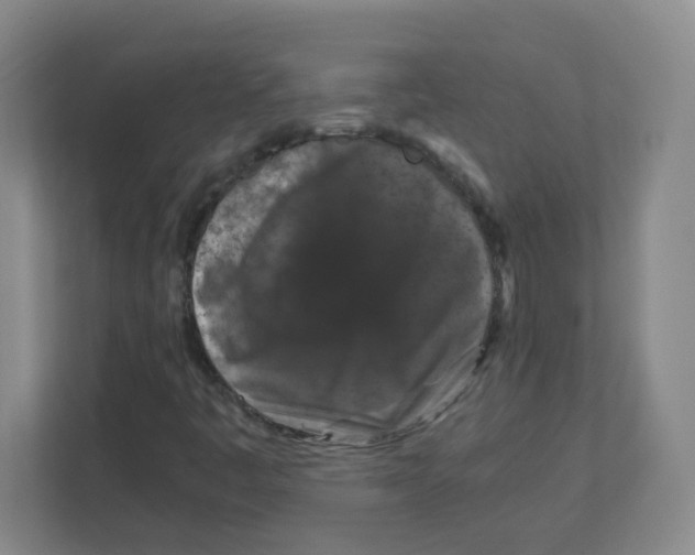 X0000111861445200908201248