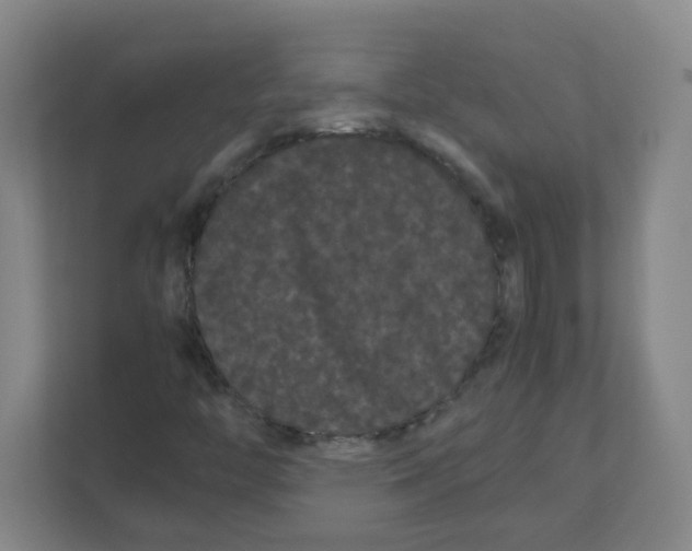 X0000111861446200908201248
