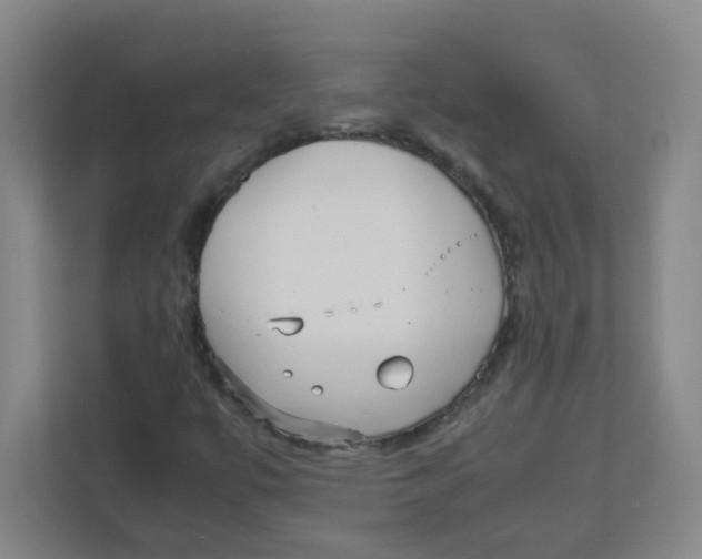 X0000111861447200908201248