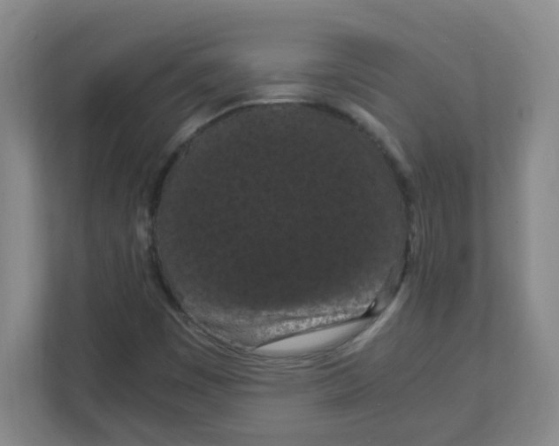 X0000111861449200908201248