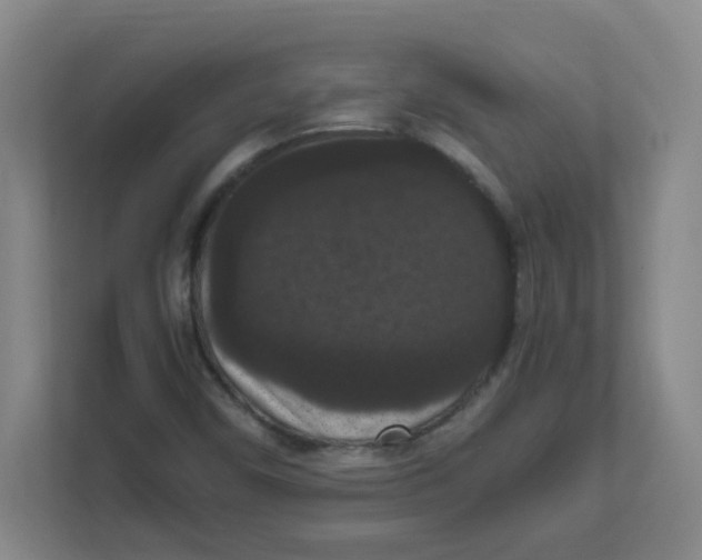 X0000111861450200908201248