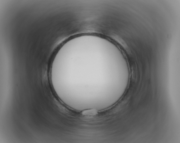 X0000111861452200908201248