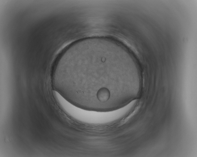 X0000111861453200908201248