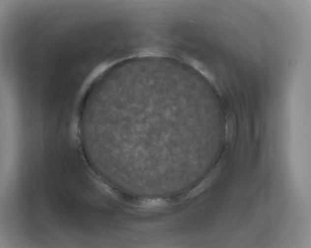 X0000111861454200908201248