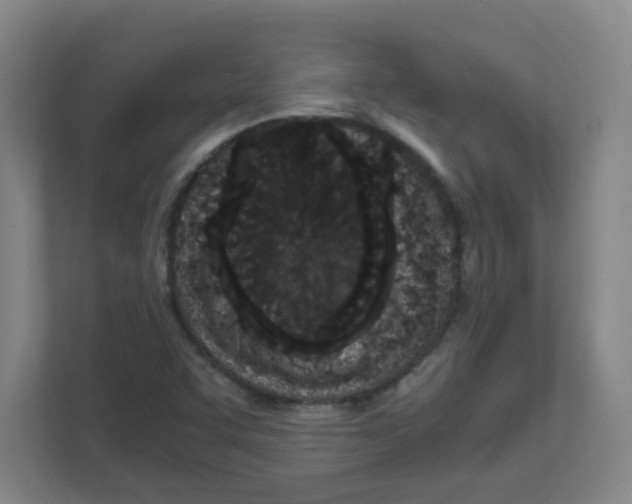 X0000111861455200908201247