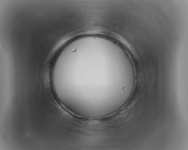 X0000111861456200908201247