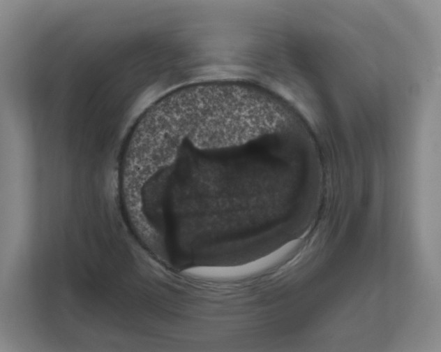 X0000111861459200908201247