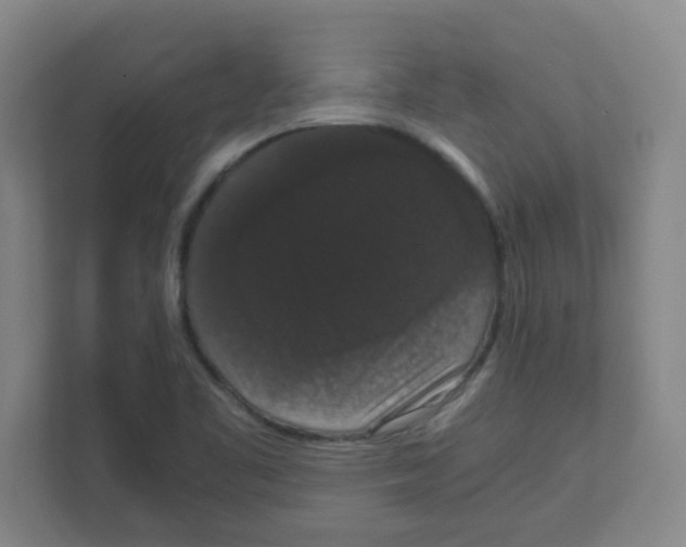 X0000111861461200908201247