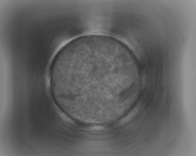 X0000111861462200908201247