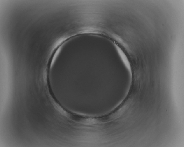 X0000111861463200908201247