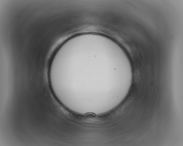 X0000111861464200908201247
