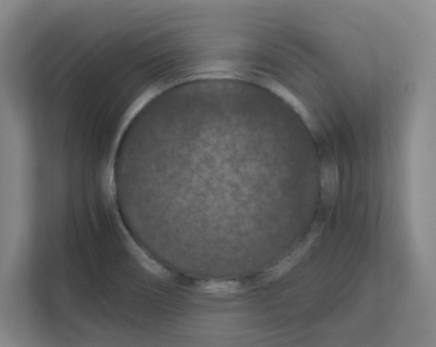 X0000111861466200908201247