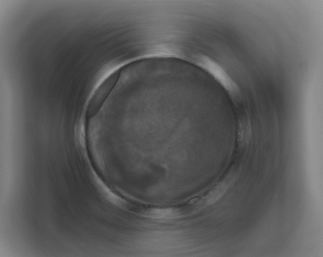 X0000111861468200908201247