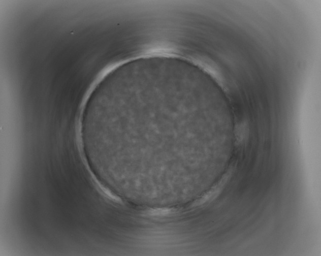 X0000111861470200908201247