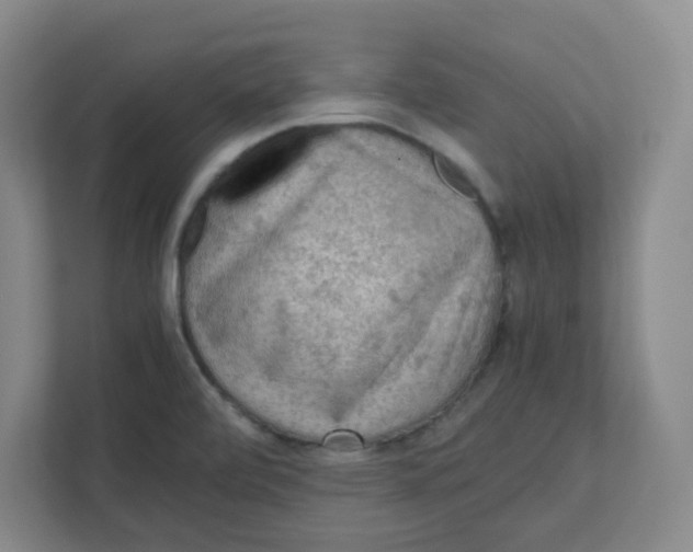 X0000111861472200908201247
