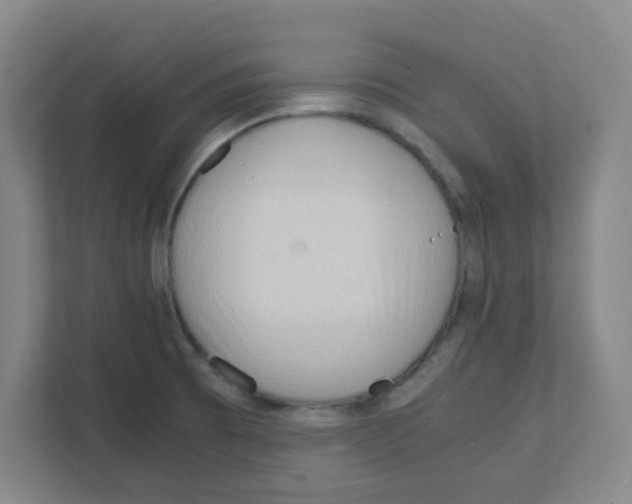 X0000111861473200908201247