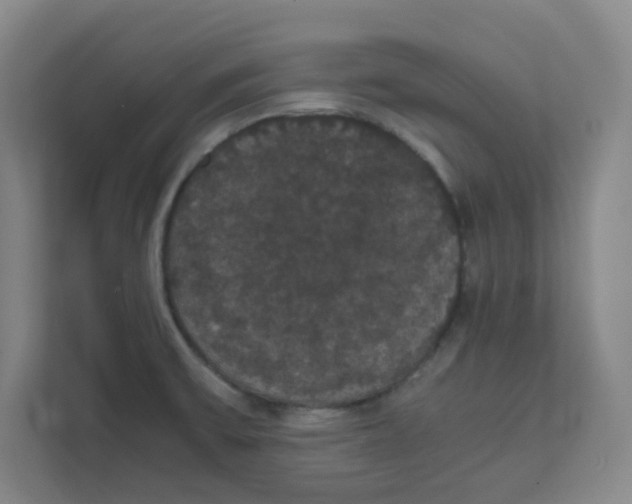 X0000111861475200908201247