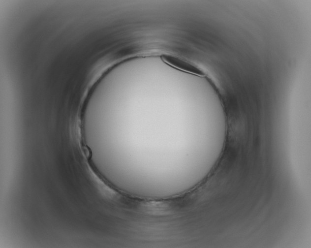 X0000111861476200908201247