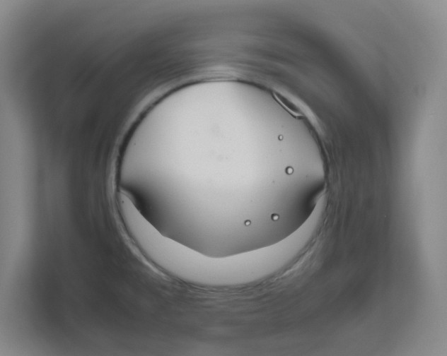 X0000111861477200908201247