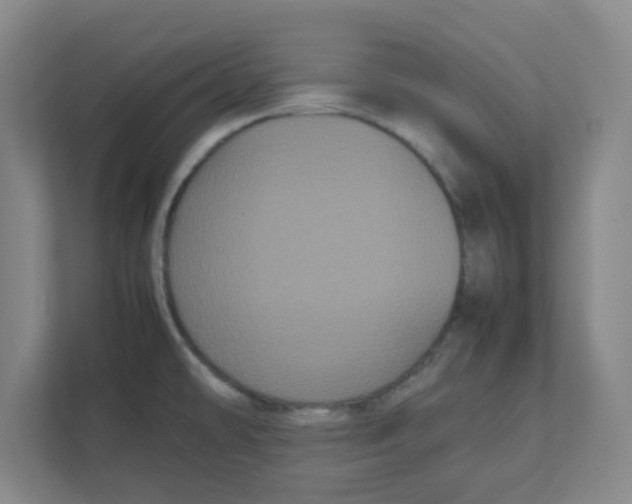 X0000111861478200908201247