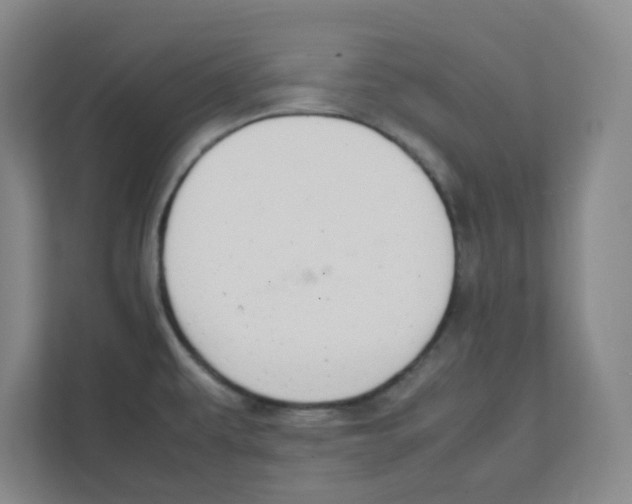 X0000111861479200908201247