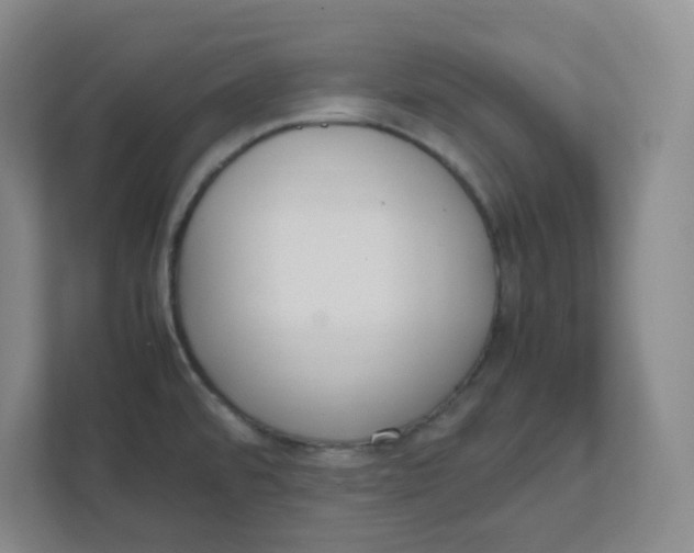 X0000111861480200908201247