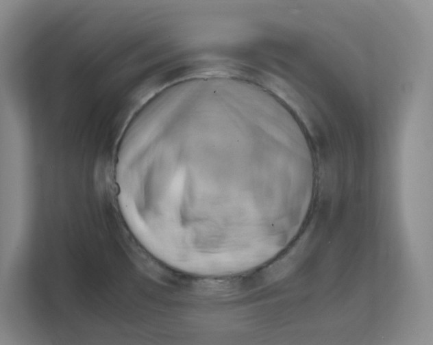 X0000111861481200908201247