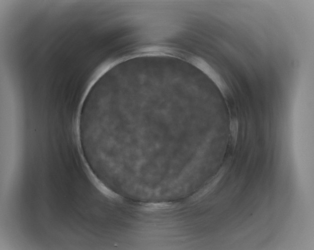 X0000111861482200908201247