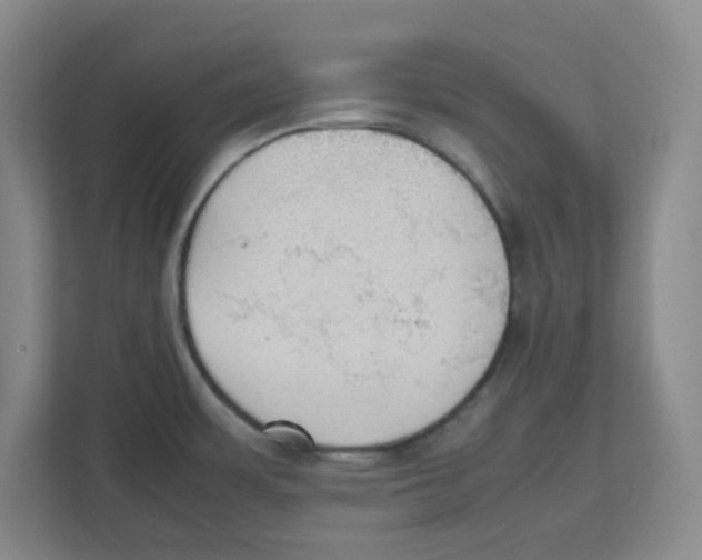 X0000111861483200908201247