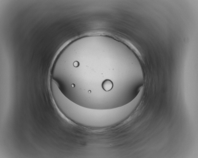 X0000111861484200908201247