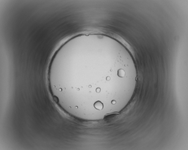 X0000111861485200908201247