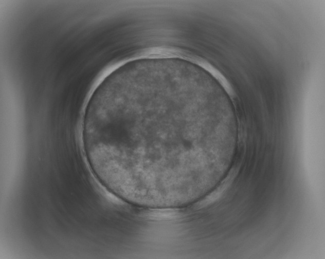 X0000111861486200908201247